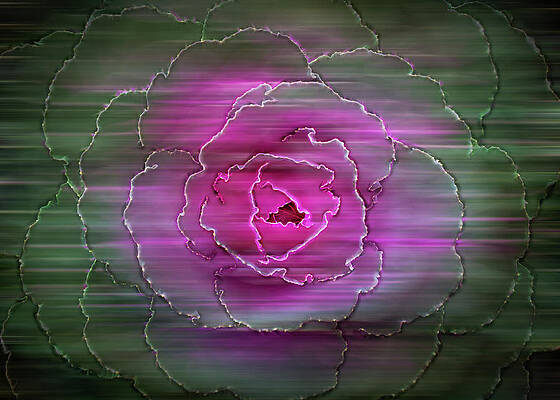 Abstract Wall Art featuring the photograph Captivating Transformation by Elvira Peretsman