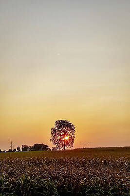 Serene Wall Art featuring the photograph Capturing Nature's Beauty In The Countryside by Travel Essayist