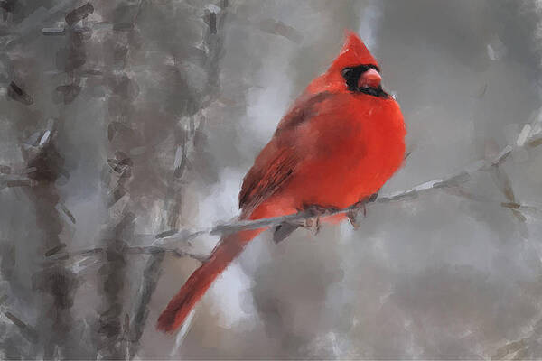 Pet Wall Art featuring the painting Cardinal In Winter by Gary Arnold