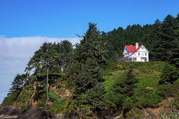 Oregon Wall Art featuring the photograph Caretaker's House At The Heceta Lighthouse by Ed Clark