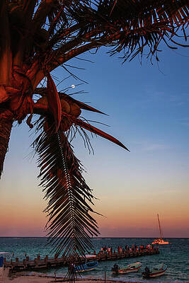 Wall Art featuring the photograph Caribbean Moonlight - Playa Del Carmen, Mexico by Tatiana Travelways