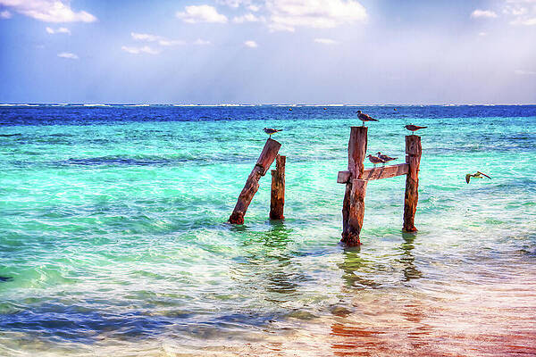 Serene Photograph - Caribbean Seascape And Seagulls, Puerto Morelos by Tatiana Travelways