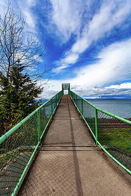 Nature Wall Art featuring the photograph Carkeek Park Walkway by Tommy Farnsworth