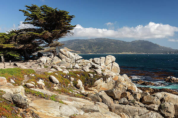 California Wall Art featuring the photograph Carmel Coastline by Craig A Walker
