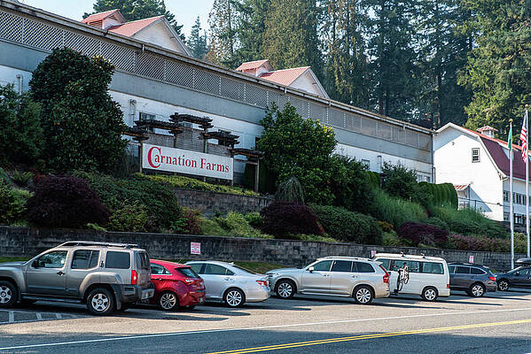 Farm Photograph - Carnation Farm by Tom Cochran