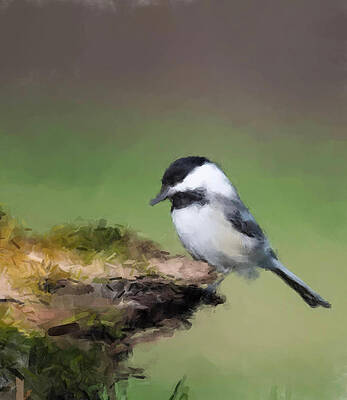 Wildlife Wall Art featuring the painting Carolina Chickadee by Gary Arnold