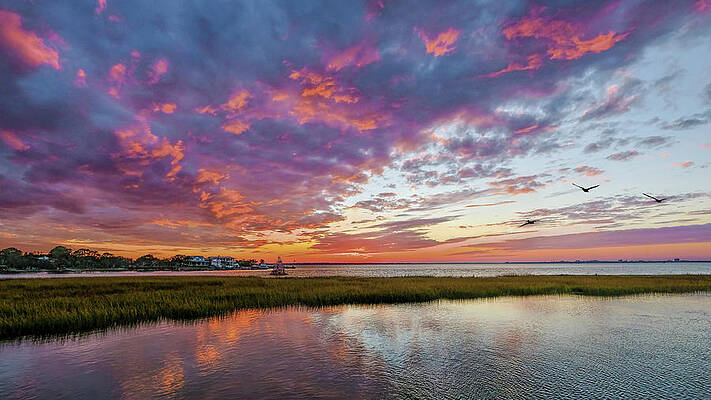 Wall Art featuring the photograph Carolina Dreaming by Maryanne Keeling