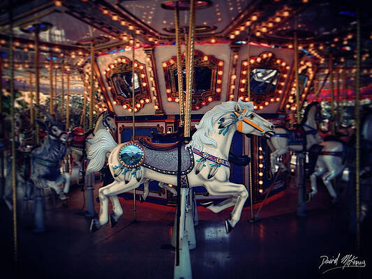 Photograph - Carousel by David McKinney