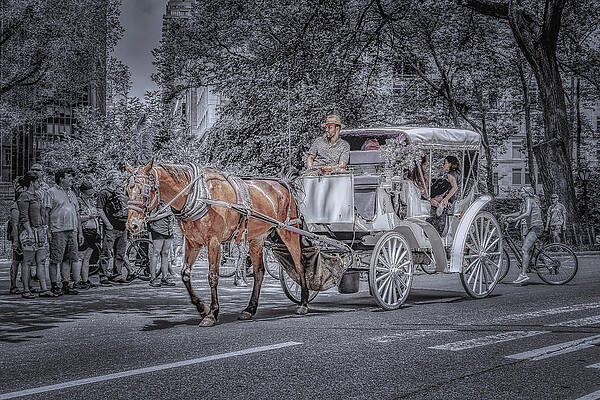 Wall Art featuring the photograph Carriage Riders by Penny Polakoff