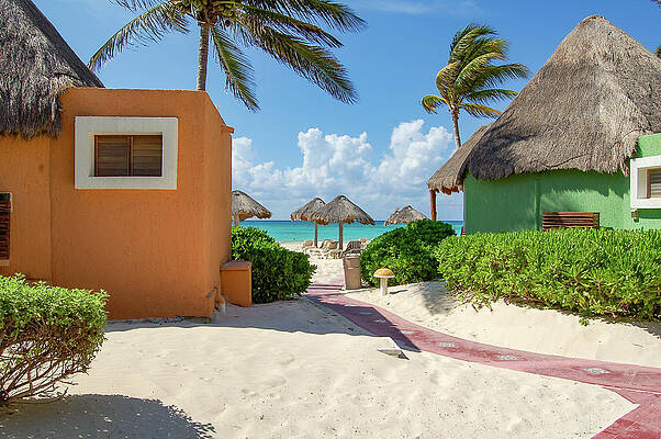 Mexico Photograph - Caribbean Peek-a-Boo by William Scott Koenig