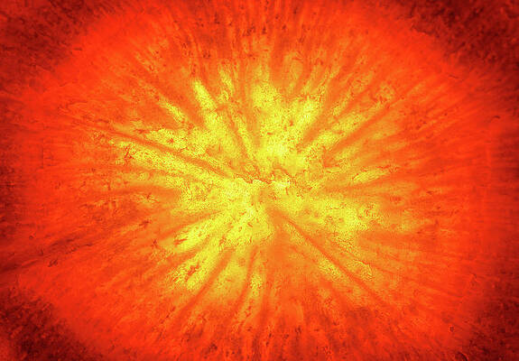 Photograph - Carrot Sunburst by Steven Nelson