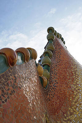 Spain Photograph - Casa Batllo Dragon Back by Richard Reeve