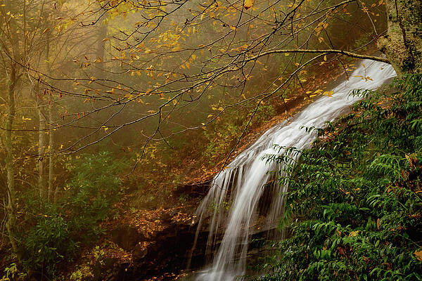 Serene Wall Art featuring the photograph Cascade Falls by Cindy Robinson