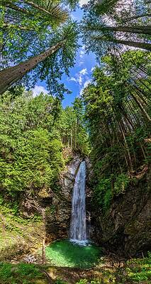 Photograph - Cascade Falls Regional Park British Columbia Canada by Tommy Farnsworth