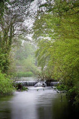 Nature Photograph - Cascade In Greenery by Mark Callanan
