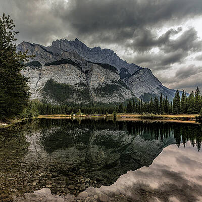 Nature Photograph - Cascading Compositions by Tim Lyden