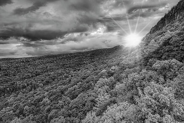 Casting Shadows Behind Me Bw Print