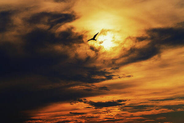 Sky Wall Art featuring the photograph Casting Shadows by Rich Kovach