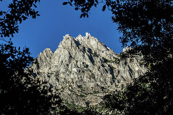 California Wall Art featuring the photograph Castle Crags Natural Frame by Diane Moller