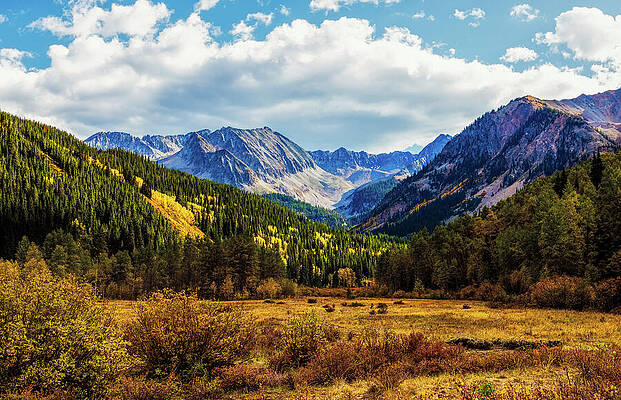 Yellow Wall Art featuring the photograph Castle Creek In Colorado by Kevin Schwalbe