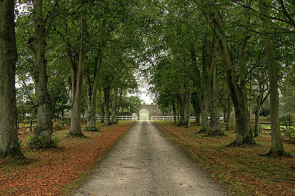 Wall Art featuring the photograph Castle Entrance by Lisa Chorny