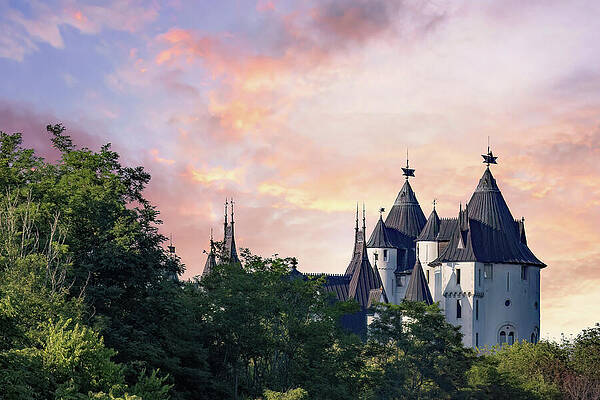 Wall Art featuring the photograph Castle Gwynn by Gina Fitzhugh