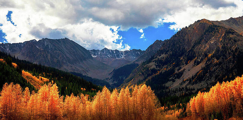 Wall Art featuring the photograph Castle Peak Aspen Colorado In Fall by Dan Sproul