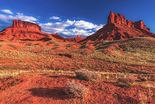 Unique Photograph - Castle Valley, Utah by Abbie Warnock