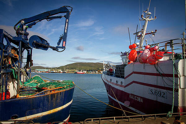 Cork Photograph - Castletownbere Fleet III by Mark Callanan