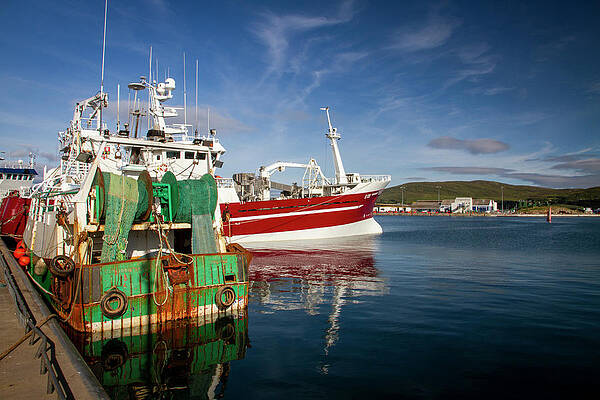 Cork Photograph - Castletownbere Fleet by Mark Callanan