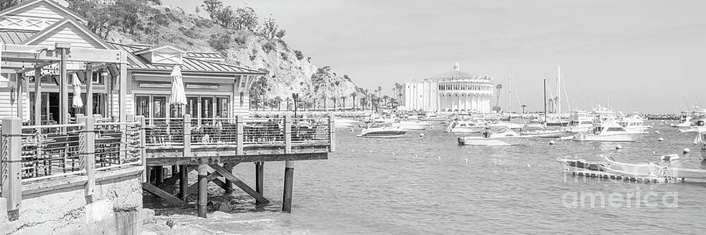Wall Art featuring the photograph Catalina Island Avalon Bay Black And White Panoramic Photo by Paul Velgos