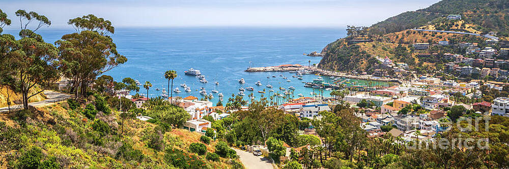Wall Art featuring the photograph Catalina Island Avalon Bay From Above Panorama Photo by Paul Velgos