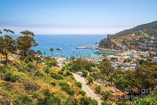 Wall Art featuring the photograph Catalina Island Avalon Bay From Above Photo by Paul Velgos