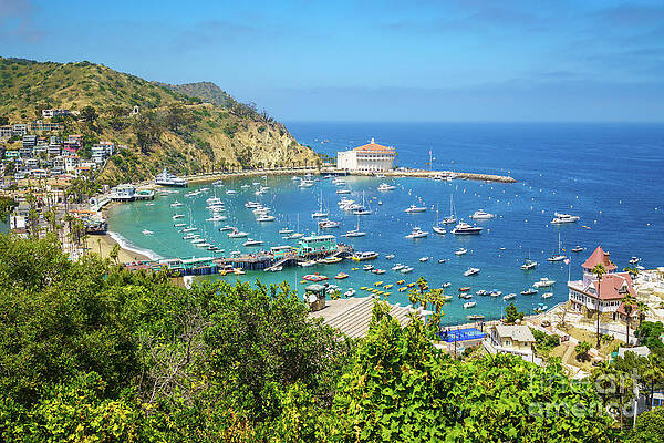 Wall Art featuring the photograph Catalina Island Avalon Harbor by Paul Velgos