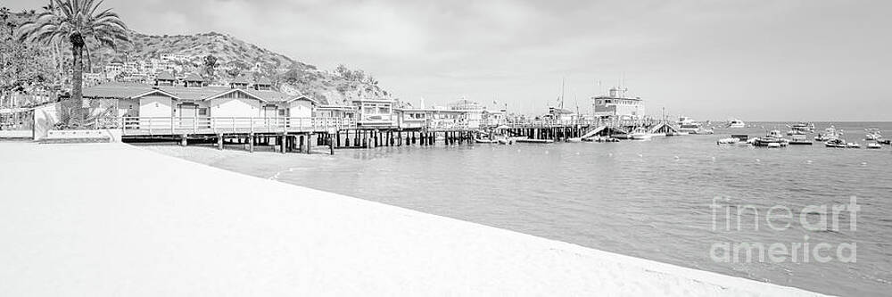 Wall Art featuring the photograph Catalina Island Beach Black And White Panorama Photo by Paul Velgos