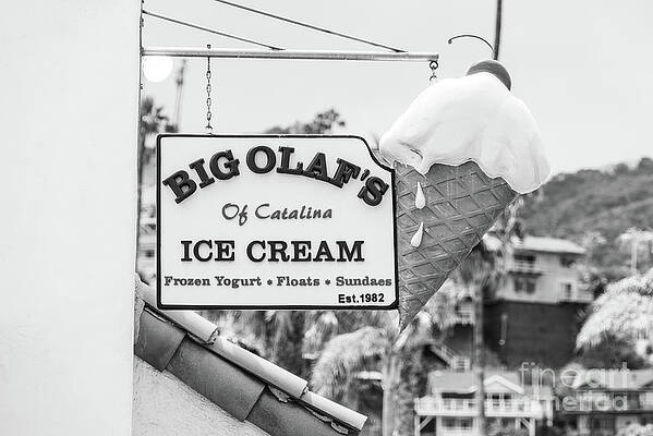 Wall Art featuring the photograph Catalina Island Big Olaf's Sign Black And White Photo by Paul Velgos