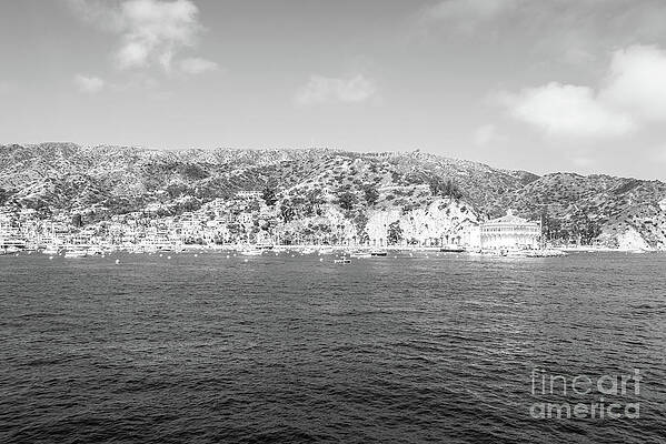 Wall Art featuring the photograph Catalina Island California Black And White Photo by Paul Velgos
