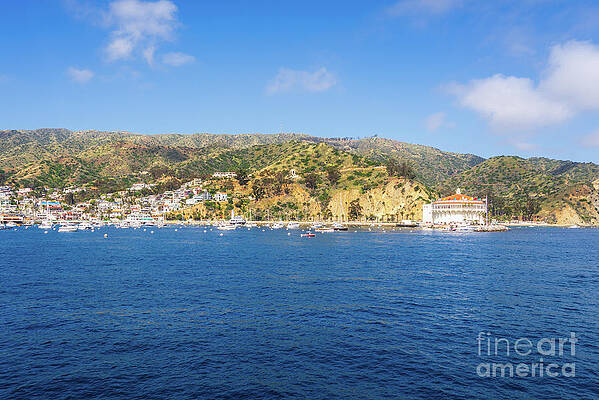 Wall Art featuring the photograph Catalina Island California Photo by Paul Velgos