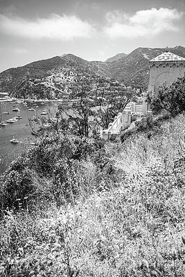 Wall Art featuring the photograph Catalina Island Chimes Tower Black And White Photo by Paul Velgos