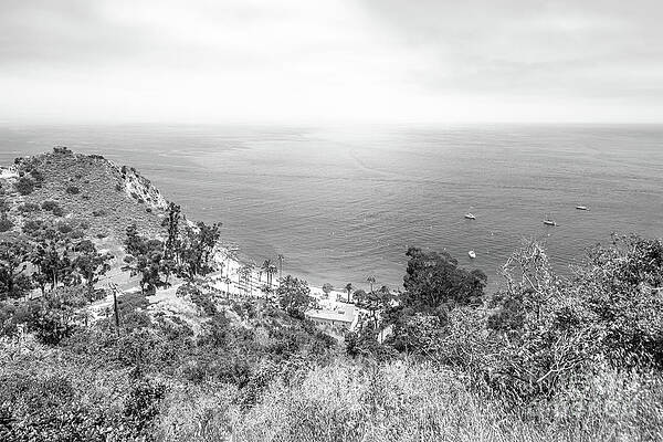 Wall Art featuring the photograph Catalina Island Descanso Bay Black And White Photo by Paul Velgos