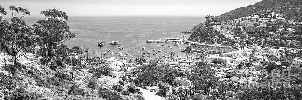 Wall Art featuring the photograph Catalina Island From Above Black And White Panoramic Photo by Paul Velgos
