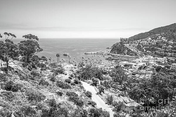 Wall Art featuring the photograph Catalina Island From Above Black And White Photo by Paul Velgos