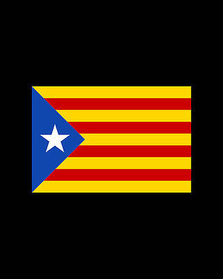 Cool Wall Art featuring the digital art Catalonia by Flippin Sweet Gear