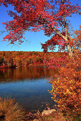Wall Art featuring the photograph Catfish Lake Along The NJ Appalachian Trail With Kayaker by Raymond Salani III