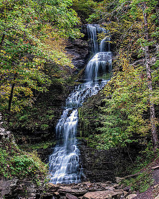 Wall Art featuring the photograph Cathedral Falls Early Fall by Flees Photos