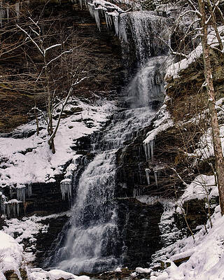 Wall Art featuring the photograph Cathedral Falls Long Image Winter by Flees Photos