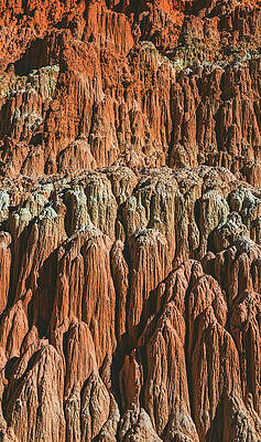 Park Photograph - Cathedral Gorge Formations, Nevada - Vertical by Abbie Warnock