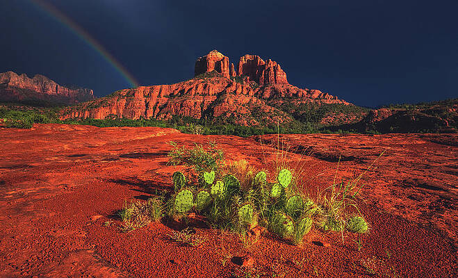 Utah Photograph - Cathedral Rock With Cactus And Rainbow - Sedona, Arizona by Abbie Warnock