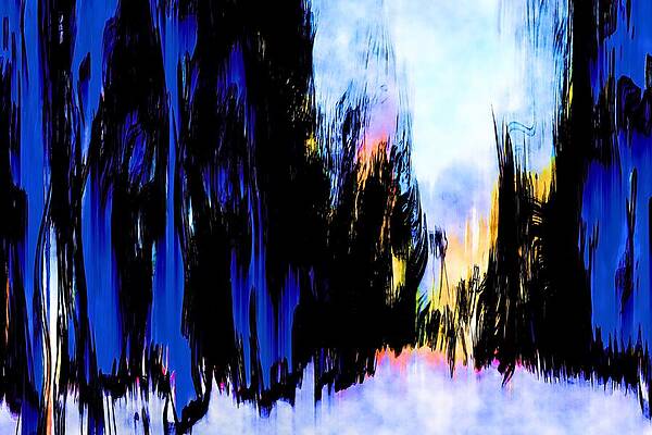 Tree Photograph - Cathedral by Ursula Abresch