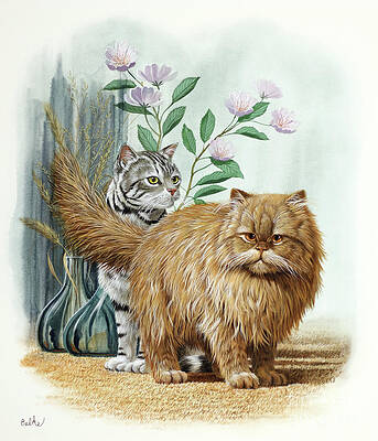 Nature Wall Art featuring the painting Cats - American Shorthair And Persian by Don Balke